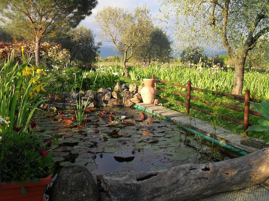 Villa Iriscortona  Cortona