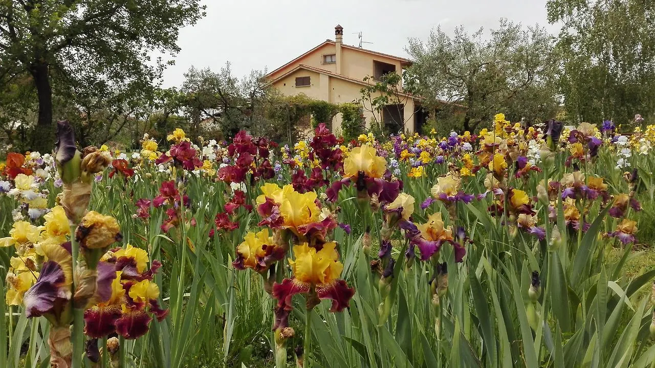 Villa Iriscortona
