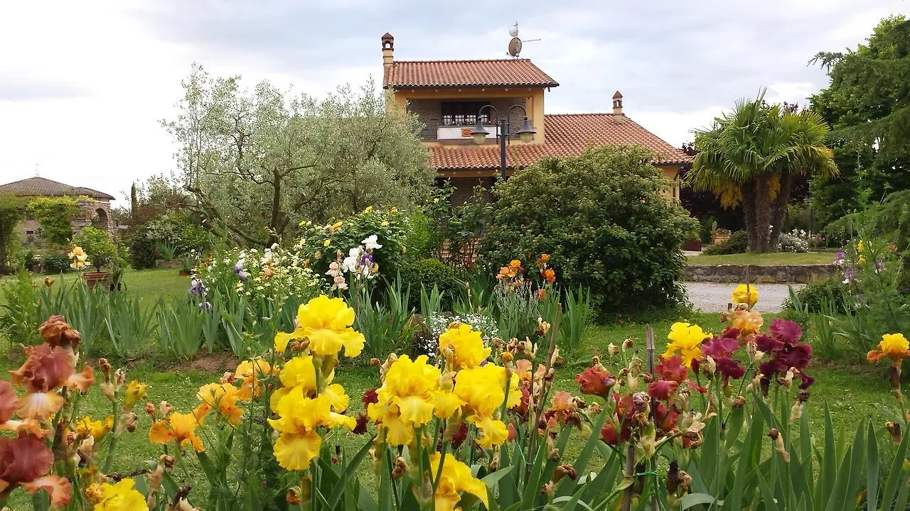 Villa Iriscortona  Cortona